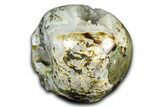 Carved Moss Agate Crystal Skull - India #378696-3